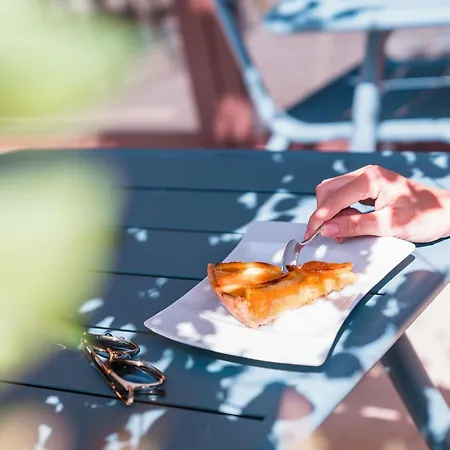 ホテル Ibis Styles La Cite カルカソンヌ